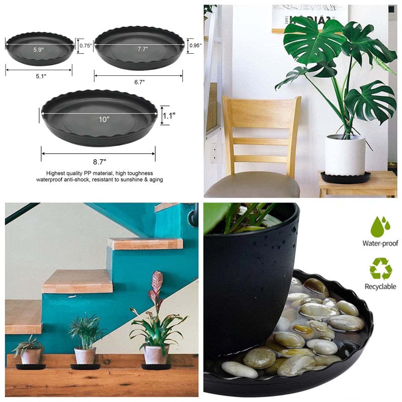 ECOESPTI 12 قطعة صحن نباتي 6 8 10 بوصة صينية نباتات بلاستيكية متينة سوداء وعاء نبات مستدير صحون صينية تنقيط للحديقة الداخلية والخارجية - Image 5